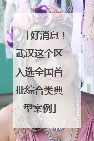 好消息！武汉这个区入选全国首批综合类典型案例