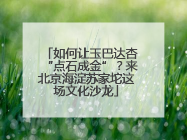 如何让玉巴达杏“点石成金”？来北京海淀苏家坨这场文化沙龙