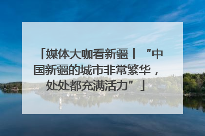 媒体大咖看新疆丨“中国新疆的城市非常繁华，处处都充满活力”