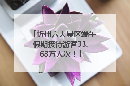 忻州六大景区端午假期接待游客33.68万人次！