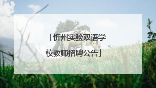 忻州实验双语学校教师招聘公告