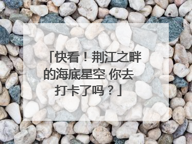 快看！荆江之畔的海底星空 你去打卡了吗？