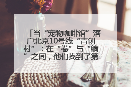 当“宠物咖啡馆”落户北京10号线“青创村”：在“卷”与“躺”之间，他们找到了第三种生活公式
