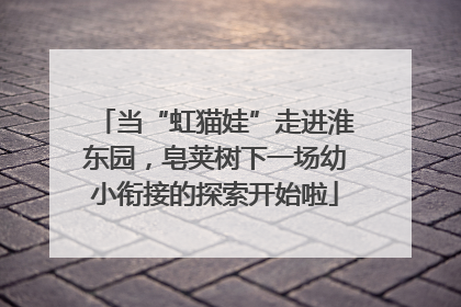 当“虹猫娃”走进淮东园，皂荚树下一场幼小衔接的探索开始啦