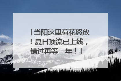 当阳这里荷花怒放！夏日顶流已上线，错过再等一年！