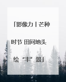 影像力丨芒种时节 田间地头绘“丰”景