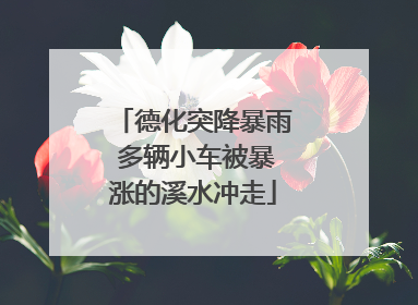 德化突降暴雨 多辆小车被暴涨的溪水冲走