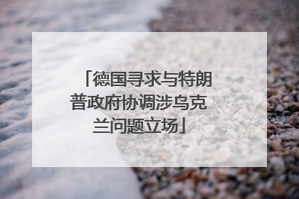 德国寻求与特朗普政府协调涉乌克兰问题立场
