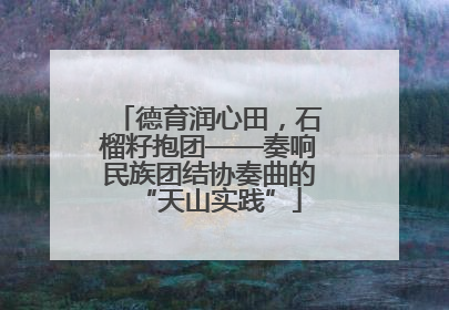 德育润心田，石榴籽抱团——奏响民族团结协奏曲的“天山实践”
