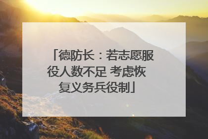 德防长：若志愿服役人数不足 考虑恢复义务兵役制