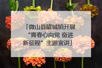 微山县驩城镇开展“青春心向党 奋进新征程”主题宣讲