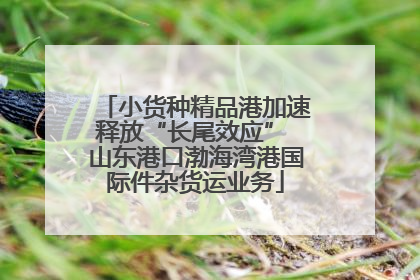小货种精品港加速释放“长尾效应” 山东港口渤海湾港国际件杂货运业务