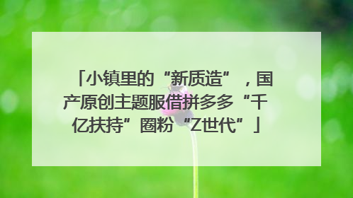 小镇里的“新质造”，国产原创主题服借拼多多“千亿扶持”圈粉“Z世代”