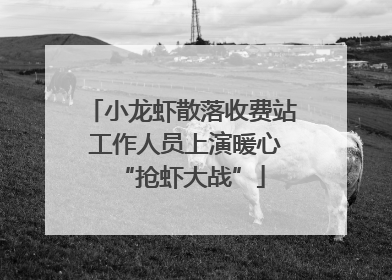 小龙虾散落收费站 工作人员上演暖心“抢虾大战”