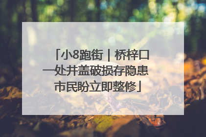 小8跑街｜桥梓口一处井盖破损存隐患 市民盼立即整修