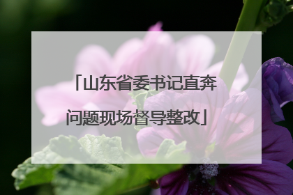 山东省委书记直奔问题现场督导整改