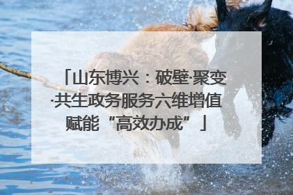 山东博兴：破壁·聚变·共生政务服务六维增值赋能“高效办成”