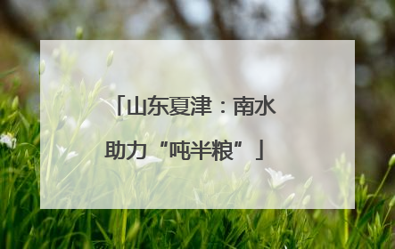 山东夏津：南水助力“吨半粮”