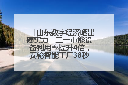 山东数字经济晒出硬实力：三一重能设备利用率提升4倍，赛轮智能工厂38秒生产一条轮胎