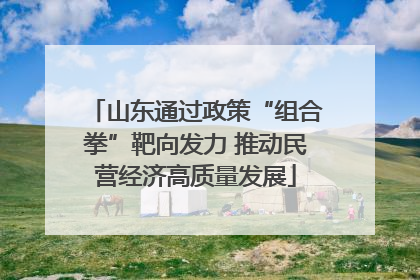 山东通过政策“组合拳”靶向发力 推动民营经济高质量发展