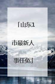 山东1市最新人事任免
