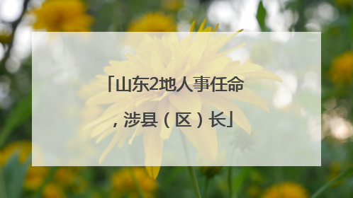 山东2地人事任命，涉县（区）长