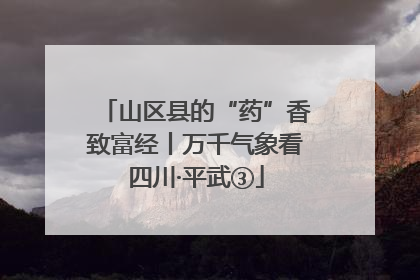 山区县的“药”香致富经丨万千气象看四川·平武③