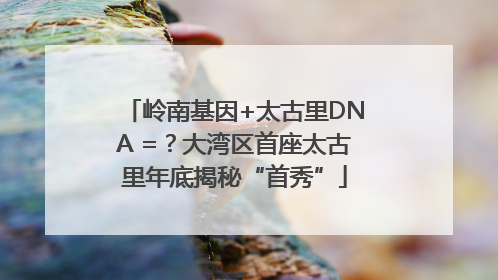 岭南基因+太古里DNA =？大湾区首座太古里年底揭秘“首秀”