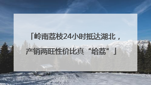 岭南荔枝24小时抵达湖北，产销两旺性价比真“给荔”