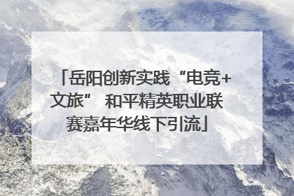 岳阳创新实践“电竞+文旅” 和平精英职业联赛嘉年华线下引流