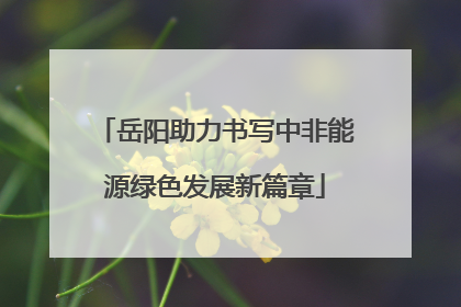 岳阳助力书写中非能源绿色发展新篇章