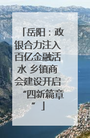 岳阳：政银合力注入百亿金融活水 乡镇商会建设开启“四新篇章”