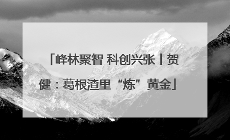 峰林聚智 科创兴张丨贺健：葛根渣里“炼”黄金