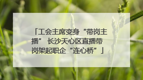 工会主席变身“带岗主播” 长沙天心区直播带岗架起职企“连心桥”