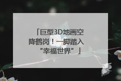 巨型3D地画空降鹤岗！一脚踏入“幸福世界”