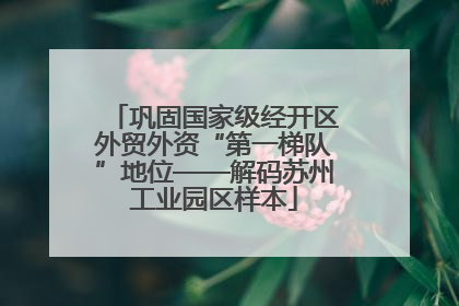 巩固国家级经开区外贸外资“第一梯队”地位——解码苏州工业园区样本