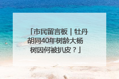 市民留言板｜牡丹胡同40年树龄大杨树因何被扒皮？