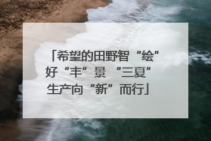 希望的田野智“绘”好“丰”景 “三夏”生产向“新”而行