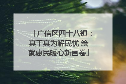 广信区四十八镇：真干真为解民忧 绘就惠民暖心新画卷