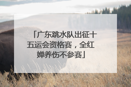 广东跳水队出征十五运会资格赛，全红婵养伤不参赛