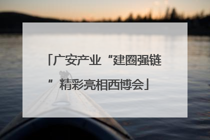 广安产业“建圈强链”精彩亮相西博会