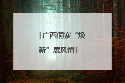 广西侗寨“焕新”展风情