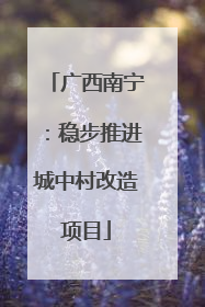 广西南宁：稳步推进城中村改造项目