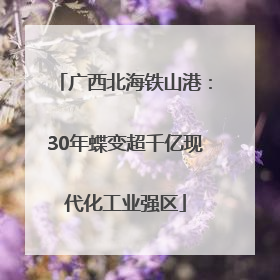 广西北海铁山港：30年蝶变超千亿现代化工业强区