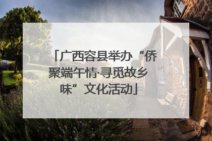 广西容县举办“侨聚端午情·寻觅故乡味”文化活动