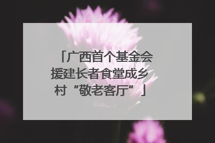 广西首个基金会援建长者食堂成乡村“敬老客厅”