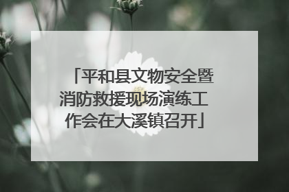 平和县文物安全暨消防救援现场演练工作会在大溪镇召开