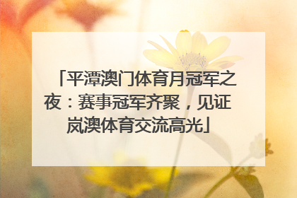 平潭澳门体育月冠军之夜：赛事冠军齐聚，见证岚澳体育交流高光