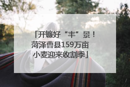 开镰好“丰”景！菏泽曹县159万亩小麦迎来收割季