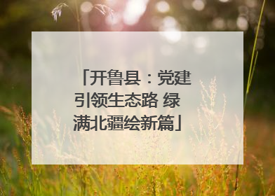 开鲁县：党建引领生态路 绿满北疆绘新篇
